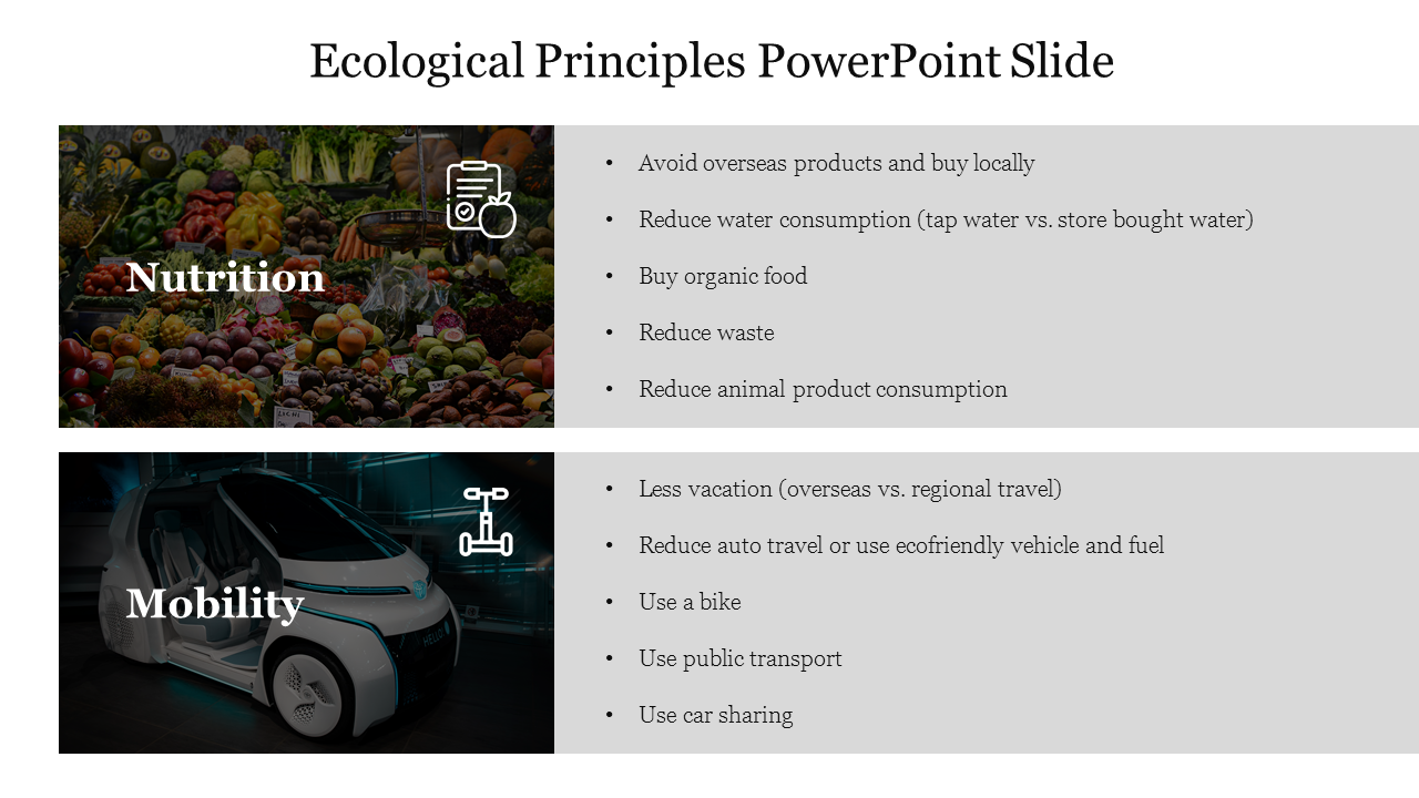 Creative Ecological Principles PowerPoint Slide Template